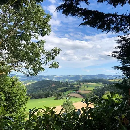 La Foret Des Herissons